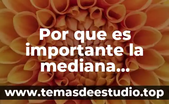 Qué es la media, mediana y moda para primaria 4 Por que es importante la mediana empresa