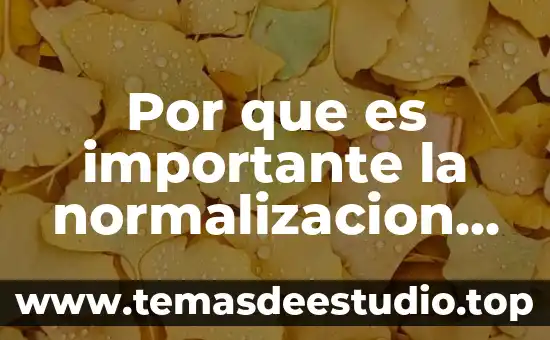 Objeto de normalización que es 5 Por que es importante la normalizacion de empresas