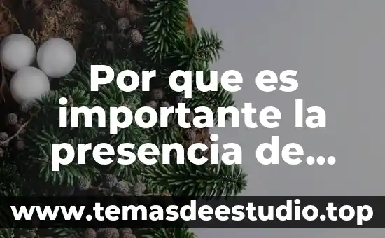 Que es la politica de presupuestos 3 Por que es importante la presencia de los presupuestos