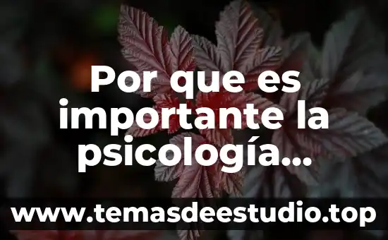 Culturas para las que es importante el color rojo 8 Por que es importante la psicología comunitaria