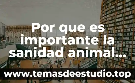 Por que es importante ayudar al niño en el baloncesto 6 Por que es importante la sanidad animal el estado