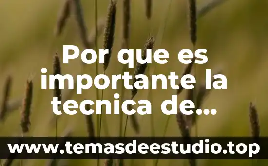 Por que es importante el respeto en la sociedad 4 Por que es importante la tecnica de investigacion