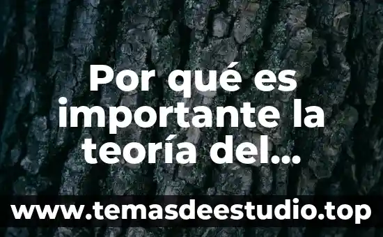 Que es un consumidor y tipos 7 Por qué es importante la teoría del consumidor