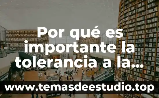 Por que es importante la electroterapia en los musculos 5 Por qué es importante la tolerancia a la frustración