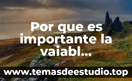 Por que es importante la vaiabl linguistica