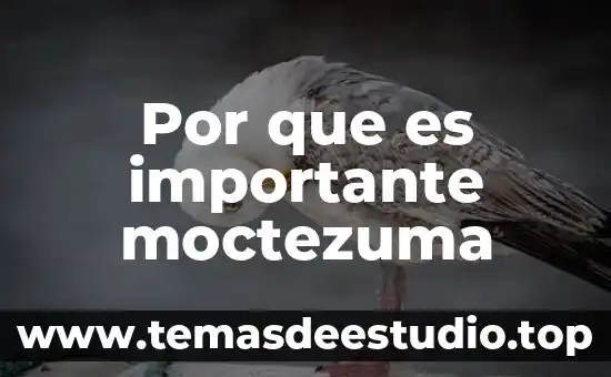 Culturas para las que es importante el color rojo 4 Por que es importante moctezuma