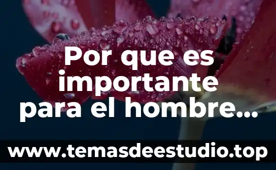 Por que es importante ser trending topic 7 Por que es importante para el hombre los hongos