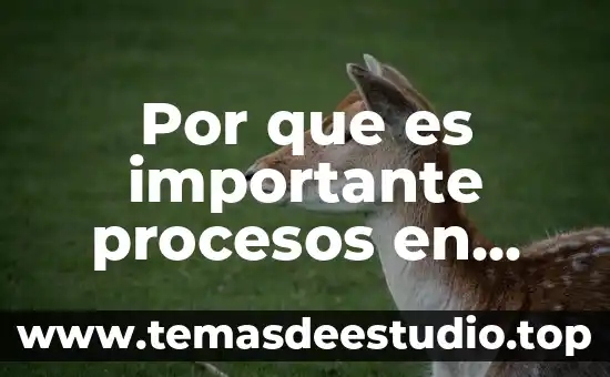 Qué es el argumento de la historia 8 Por que es importante procesos en gestion empresarial