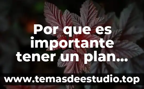 Por que es importante disminuir el chupeteo en los bebés 3 Por que es importante tener un plan de pensiones