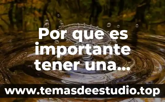 Que es tener cariño a una persona 7 Por que es importante tener una cadena de suministro eficiente