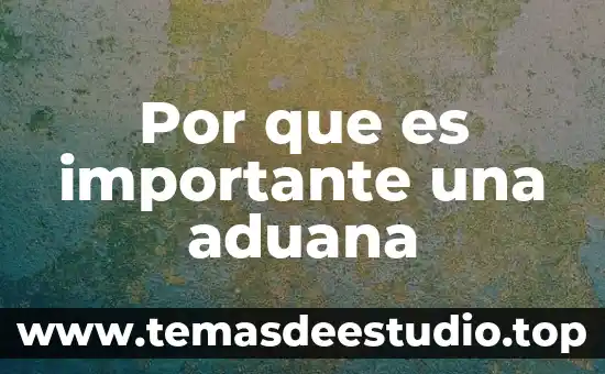 Por que es importante conocer el significado de la aduana 6 Por que es importante una aduana