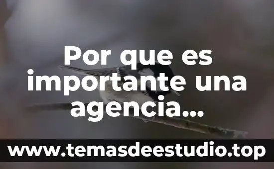 Que es una sociedad inmobiliaria 7 Por que es importante una agencia inmobiliaria