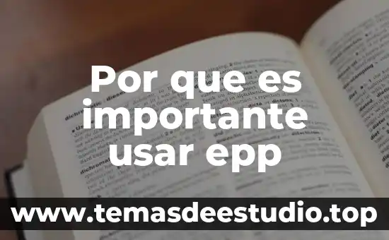 Por que es importante el respeto en la sociedad 6 Por que es importante usar epp