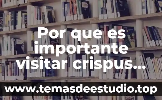 Qué es un proyecto simple y características 8 Por que es importante visitar crispus crepe en mocorito