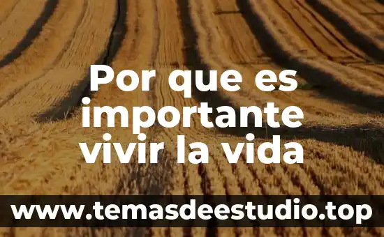 Por que es importante conservar la cultura olmeca 5 Por que es importante vivir la vida