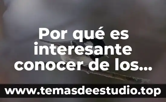 Cultura china por que es interesante 5 Por qué es interesante conocer de los tepehuanes