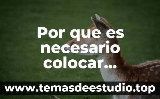 Que es una guerra legales e ilegales concepto 5 Por que es necesario colocar términos legales