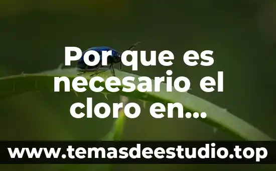Por que es necesario el cloro en nuestro cuerpo