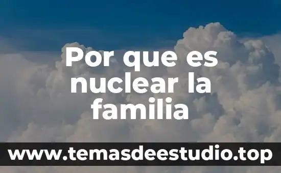 Que es significado atribuido 3 Por que es nuclear la familia
