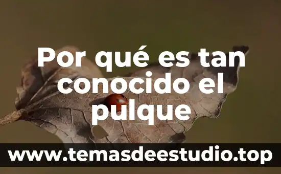 Por que es tan importante la cultura gastronomia 5 Por qué es tan conocido el pulque