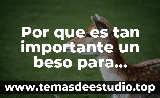 Que es elegir y ser elegido 4 Por que es tan importante un beso para elegir pareja
