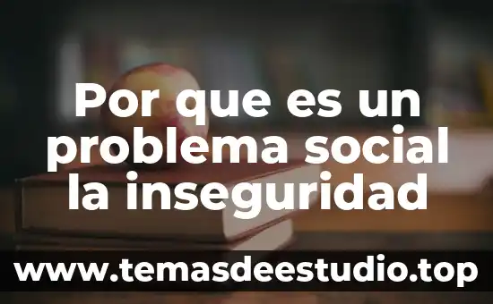 Que es significa fin social 8 Por que es un problema social la inseguridad