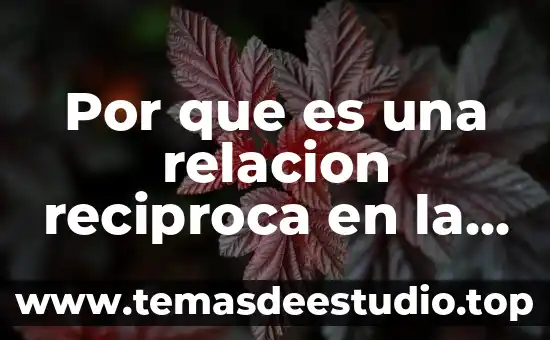 Que es una relacion abriel 7 Por que es una relacion reciproca en la fotosintesis