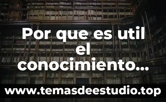 Que es la internacionalización en la difusión de conocimiento científico 5 Por que es util el conocimiento cientifico