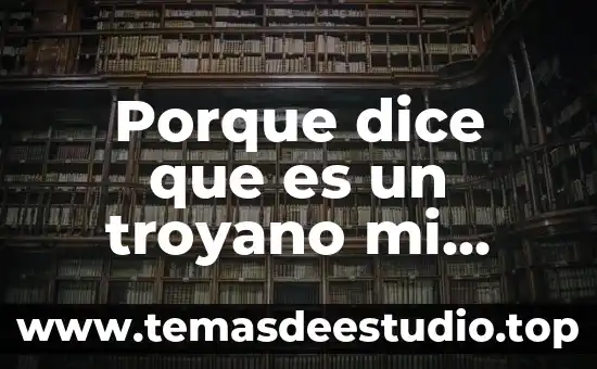 Qué es derecho San Petersburgo porque cambio el nombre 6 Porque dice que es un troyano mi programa