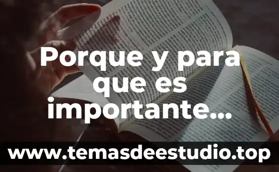Qué es lo más importante de la teoría de Vigotsky 8 Porque y para que es importante tomar tus propias decisiones