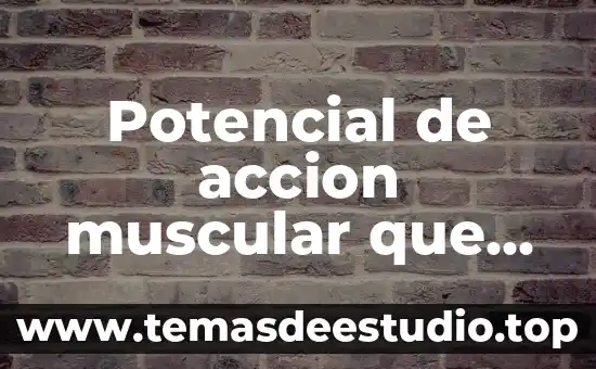 Definición de autores de lo que es resistencia muscular 3 Potencial de accion muscular que es