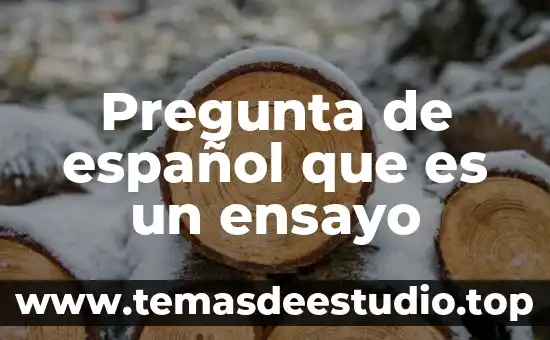 Que es una pregunta retorica en un texto argumentativo 4 Pregunta de español que es un ensayo