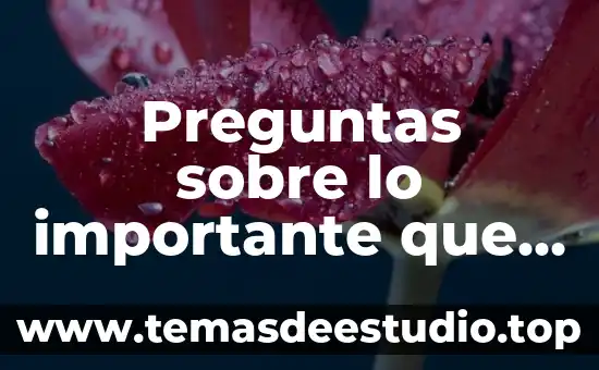 Que es hacer planta fisica 4 Preguntas sobre lo importante que es hacer ejercicio