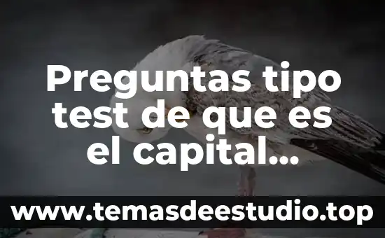Preguntas tipo test de que es el capital humano