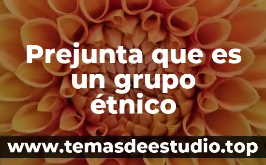 Prejunta que es un grupo étnico