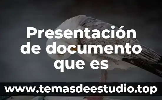 Que es un documento de identidad de irene diaz 5 Presentación de documento que es