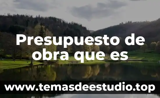 Presupuesto de obra que es