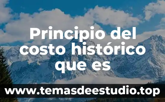 Principio del costo histórico que es