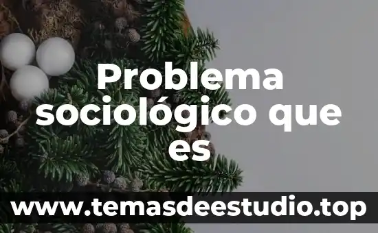 Que es la ciencia concepto en diccionario sociologico 6 Problema sociológico que es