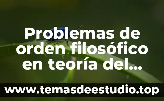 Que es un punto de orden 3 Problemas de orden filosófico en teoría del estado