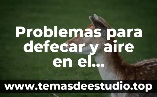 Qué es un primer y su función genética 5 Problemas para defecar y aire en el estómago, qué es