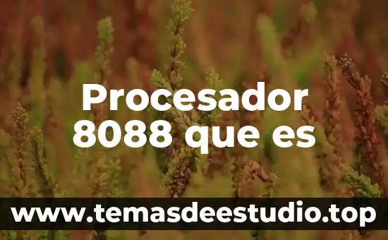 Que es la arqueologia de procesador 8 Procesador 8088 que es