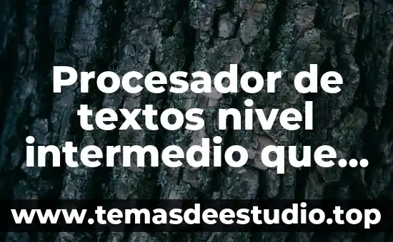 Que es el nivel bajo en danza folklorica 4 Procesador de textos nivel intermedio que es