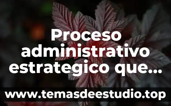 Proceso administrativo estrategico que es