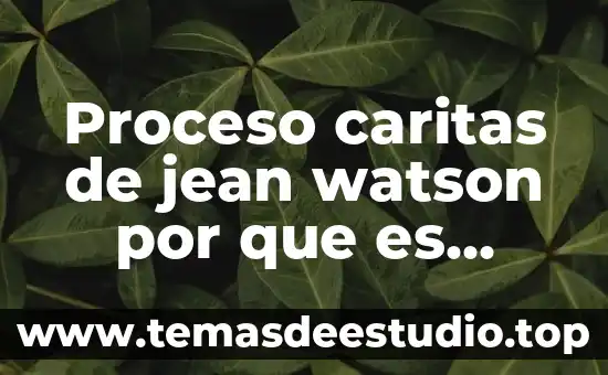 Estadistico de durbin watson que es 5 Proceso caritas de jean watson por que es importante