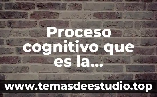 Que es en expresion del arte un cognitivo perceptual 8 Proceso cognitivo que es la creatividad