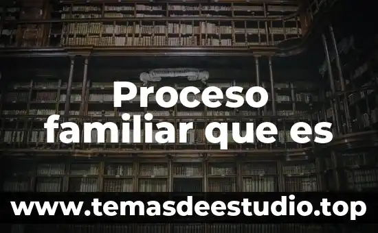 Que es una acta de mediacion familiar 3 Proceso familiar que es