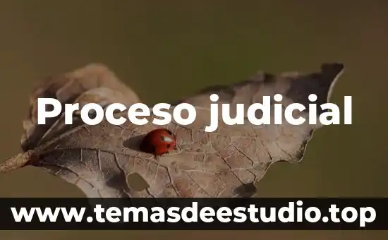 Que es un mecanismo judicial 3 Proceso judicial