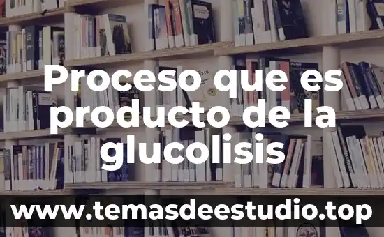 Qué es un proceso de preparación definición 6 Proceso que es producto de la glucolisis