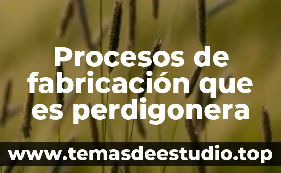 Que es ingeniería en procesos y operaciones industriales 4 Procesos de fabricación que es perdigonera